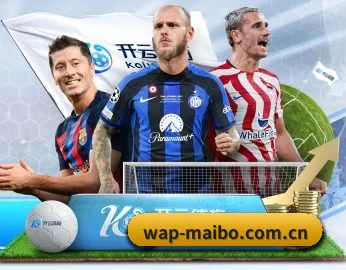 迈博体育官网的故事 | myballsports