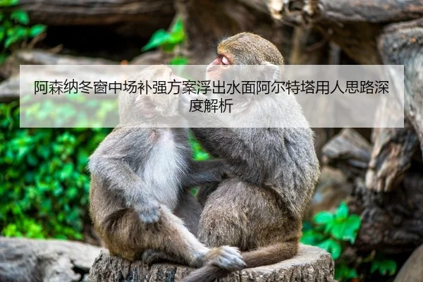 阿森纳冬窗中场补强方案浮出水面阿尔特塔用人思路深度解析 | myballsports